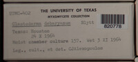 Image Associated With the Occurence